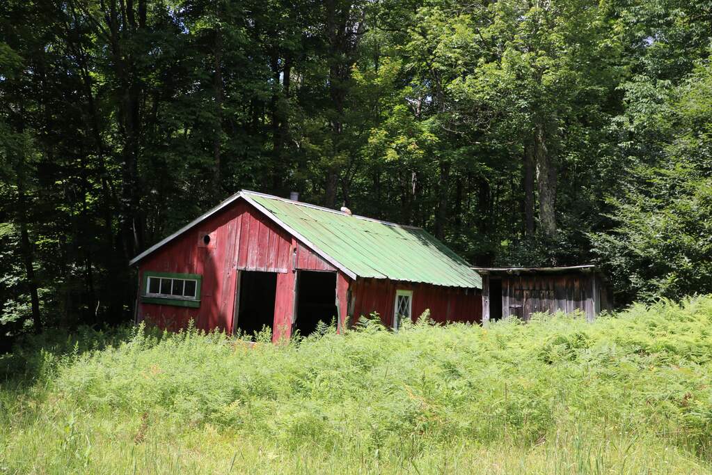 Land/Vacant Land's Image 11