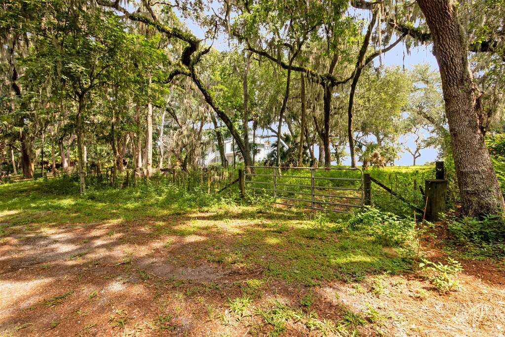 Land/Vacant Land's Image 4