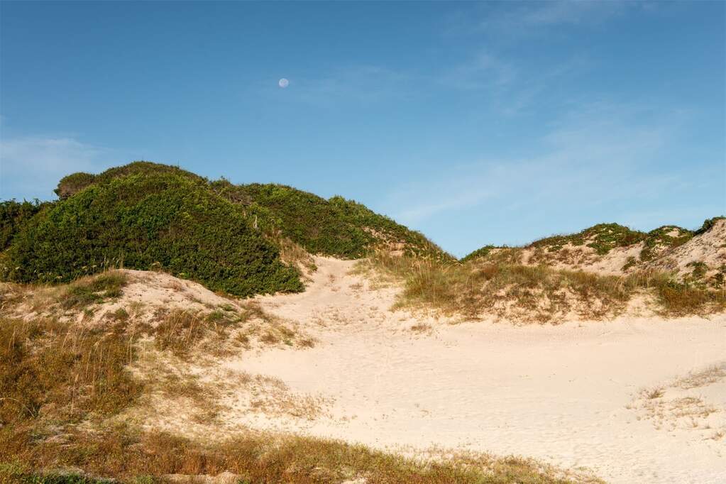 Land/Vacant Land's Image 14