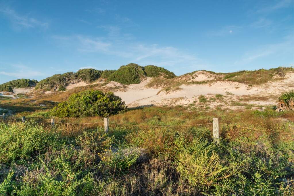 Land/Vacant Land's Image 15