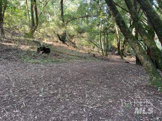 5 Meadow View Lane photo