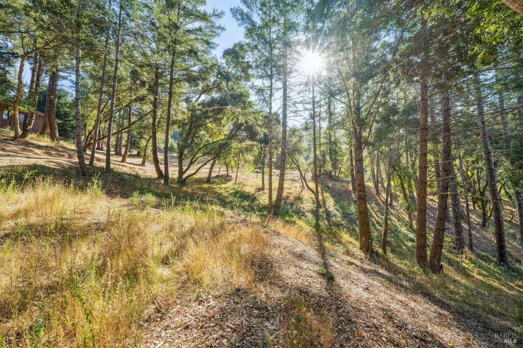 5 Chaparral Lane photo