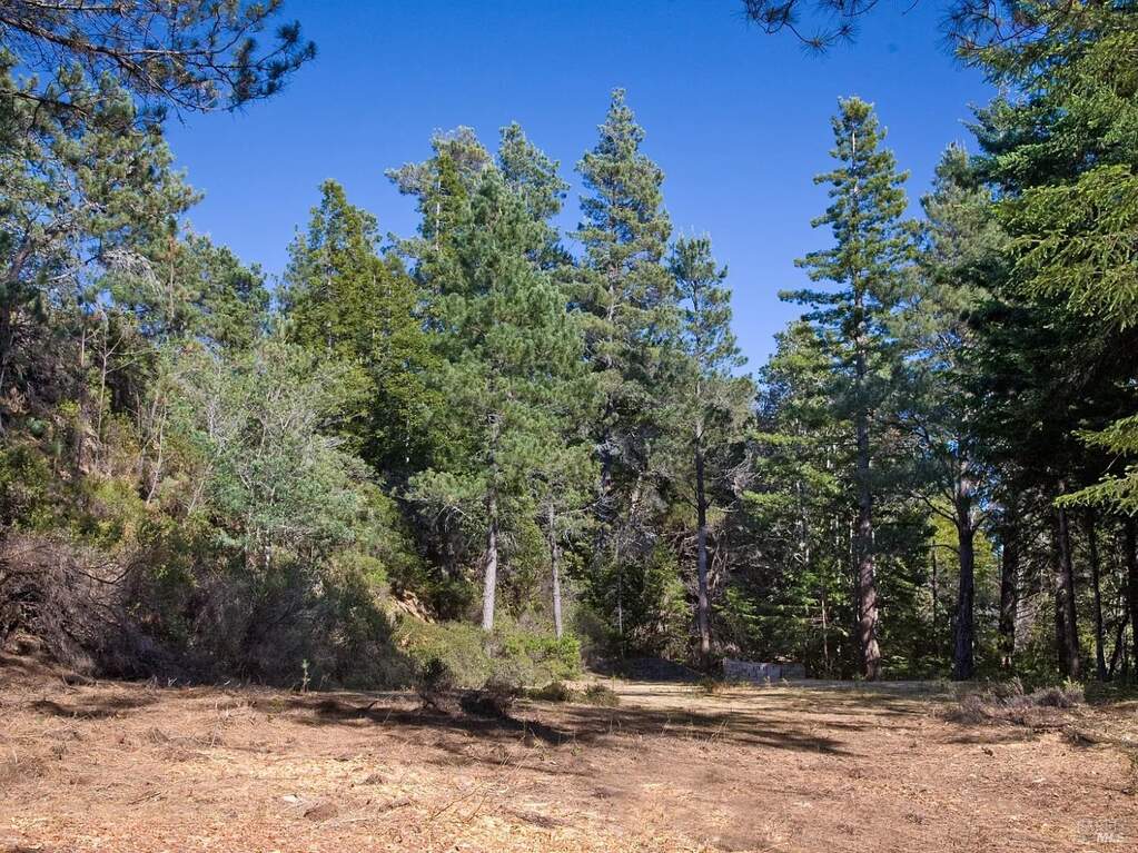 46109 Fish Rock Road photo
