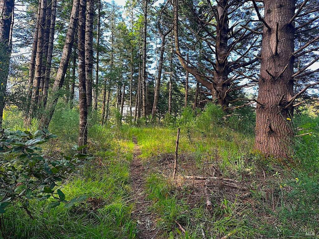 10435 Clark Street photo