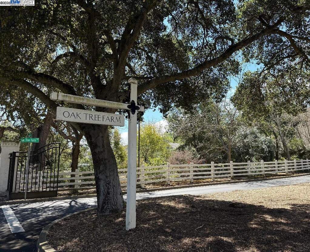 8272 Sassafras Ct photo