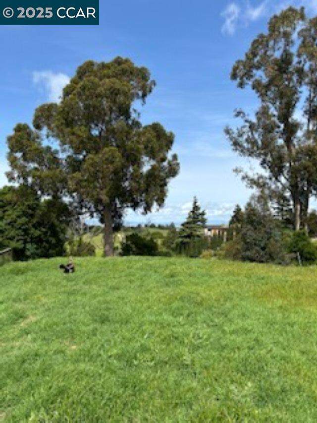 209 N Rancho Pl photo