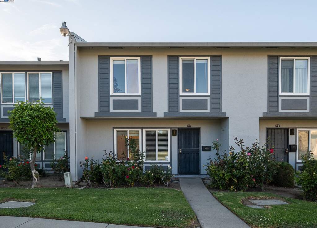 34579 Bluestone Cmn photo