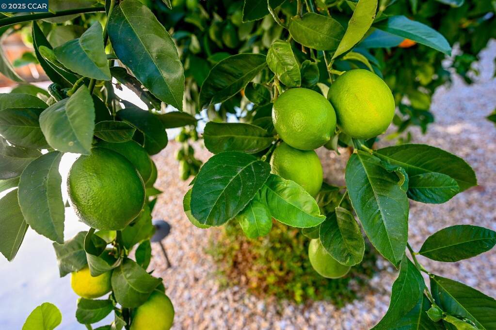 1075 Irwin Court, Concord, CA 94518