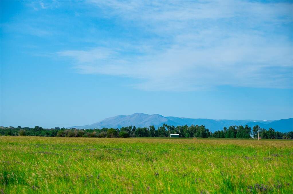 Farm/Ranch/Plantation's Image 7