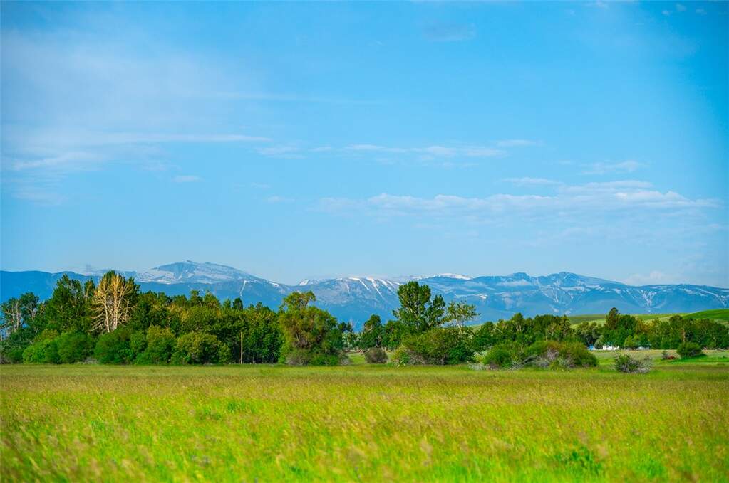 Farm/Ranch/Plantation's Image 8