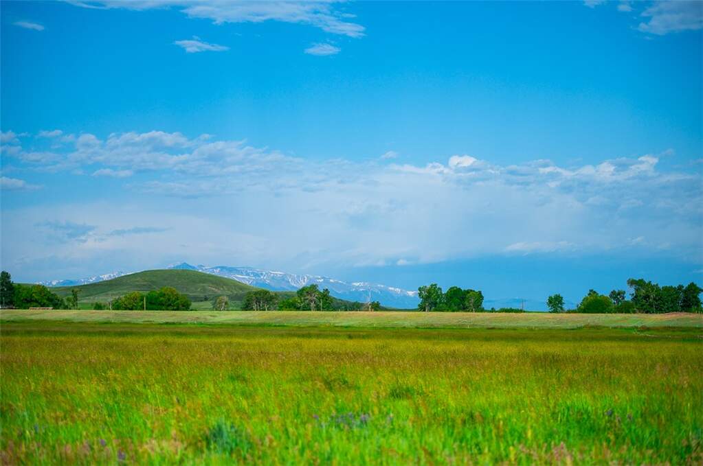 Farm/Ranch/Plantation's Image 14