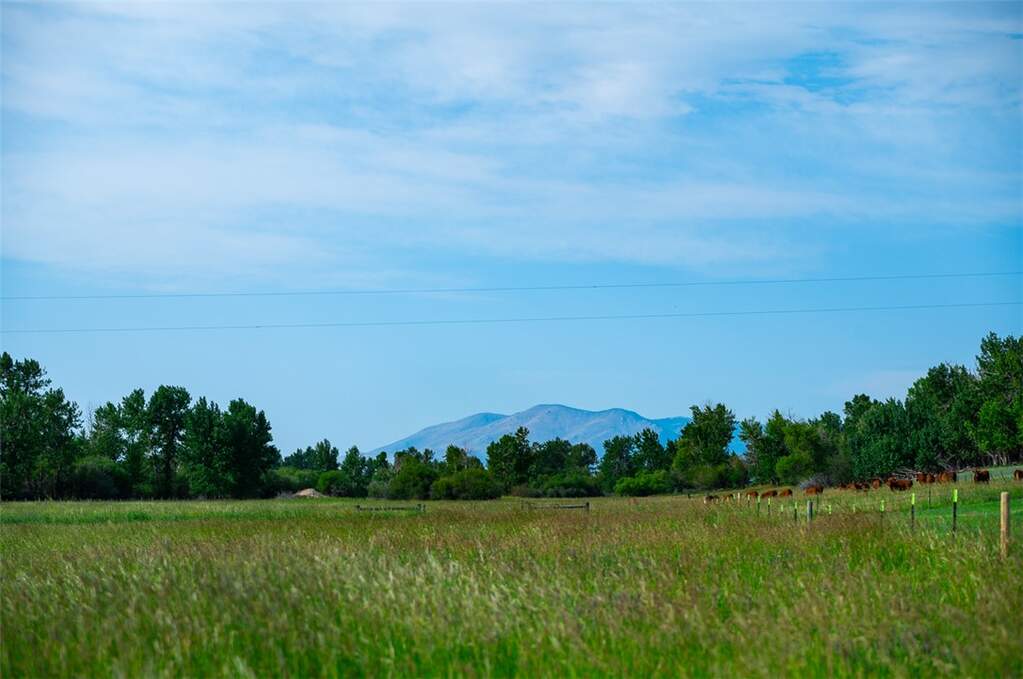 Farm/Ranch/Plantation's Image 18