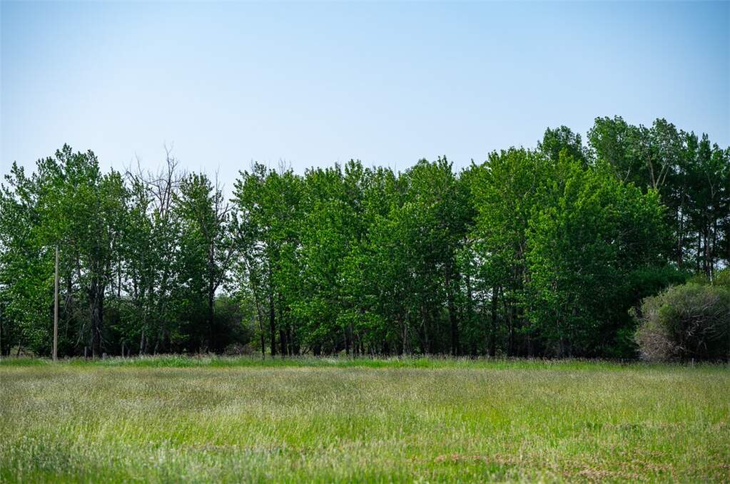 Farm/Ranch/Plantation's Image 19