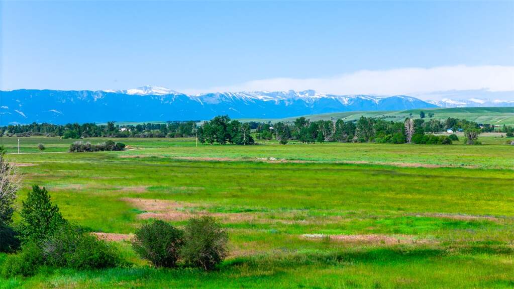Farm/Ranch/Plantation's Image 33