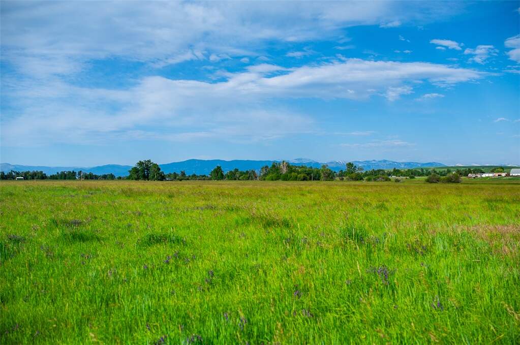 Farm/Ranch/Plantation's Image 3