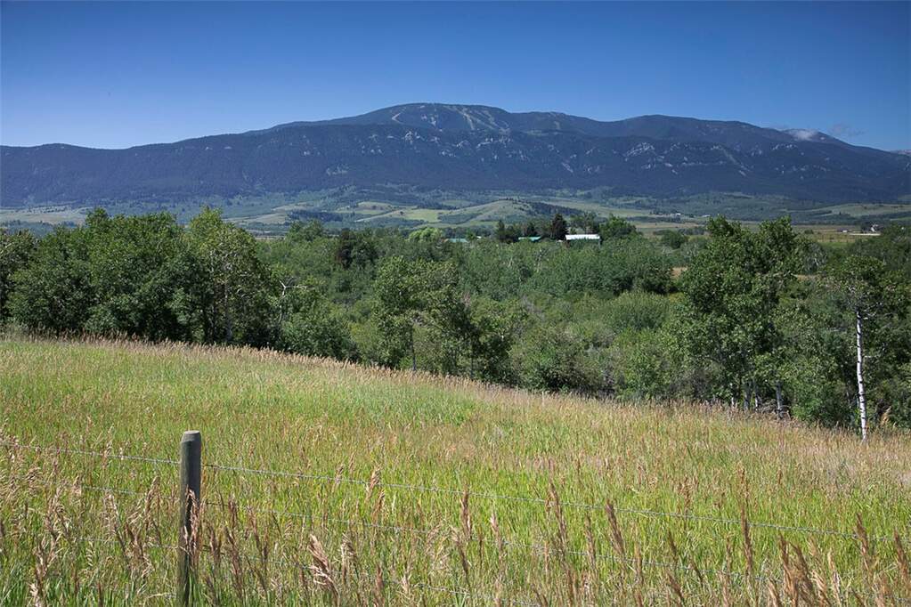 Land/Vacant Land's Image 17