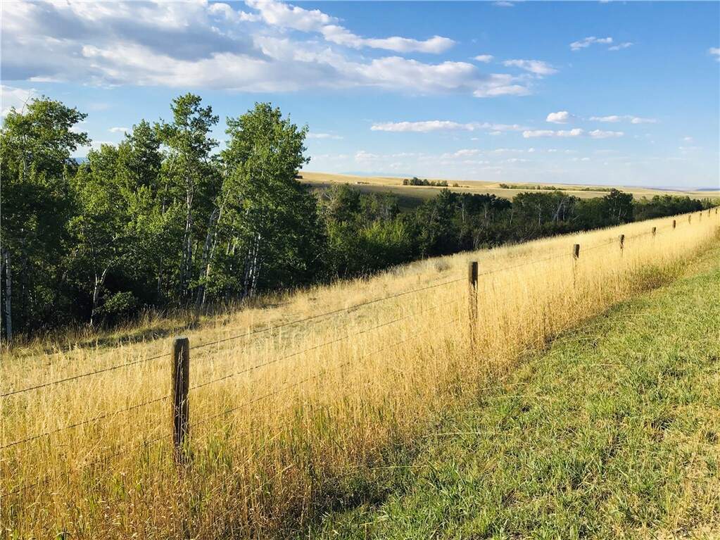 Land/Vacant Land's Image 3