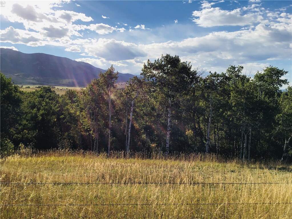 Land/Vacant Land's Image 4