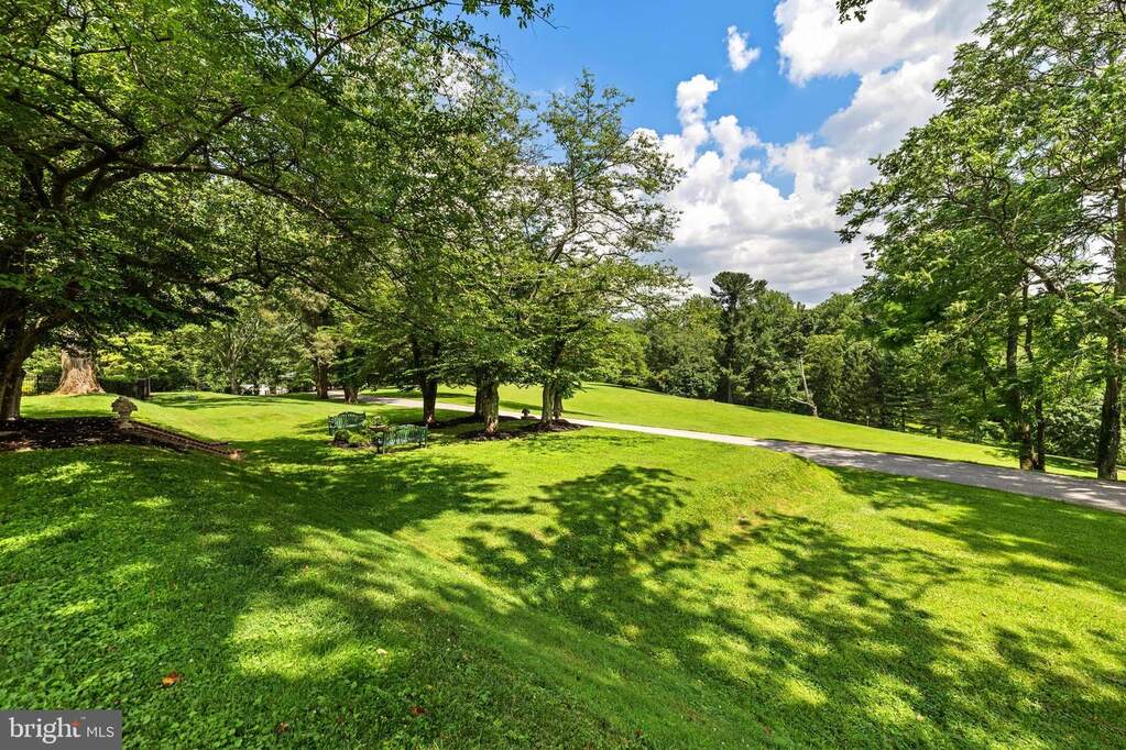 Land/Vacant Land's Image 4
