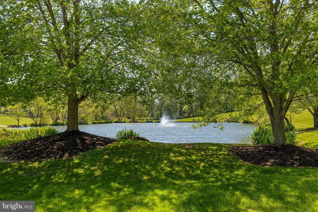 picture of 