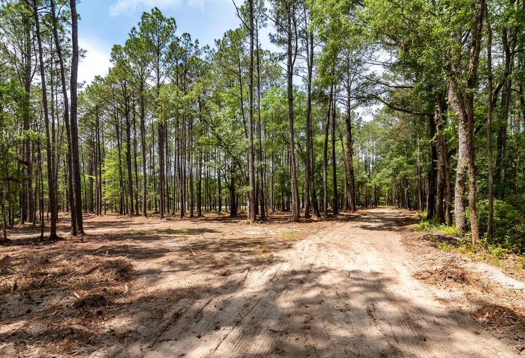 Land/Vacant Land's Image 18
