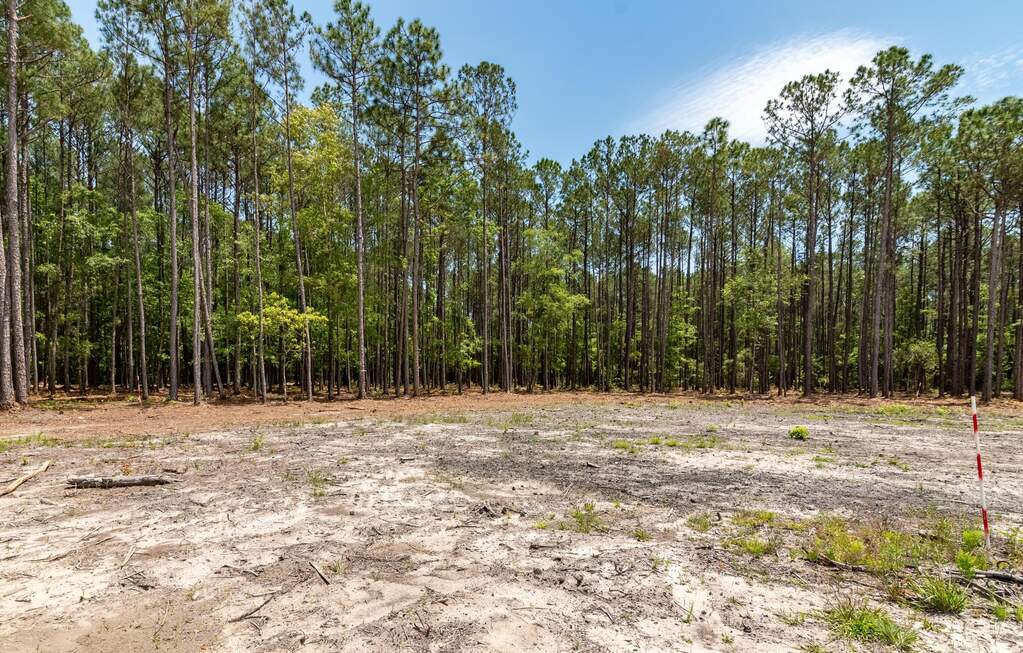Land/Vacant Land's Image 22