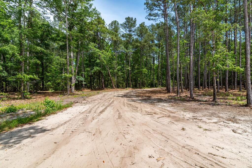 Land/Vacant Land's Image 23