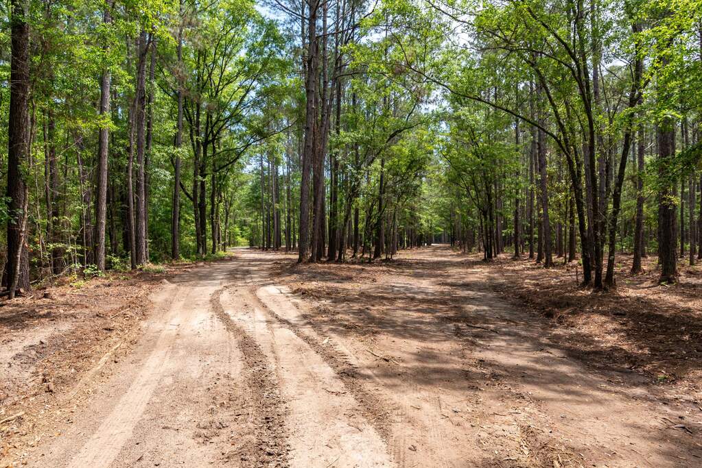 21-e_Lowcountry_Exposure-12