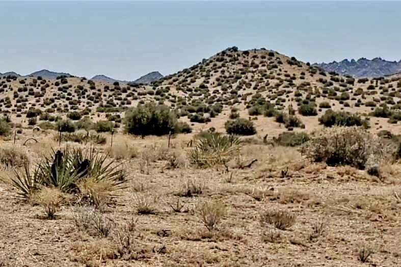 0 Trails End Ox Yoke Pass photo