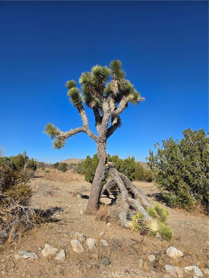 0 Murphys Lane photo