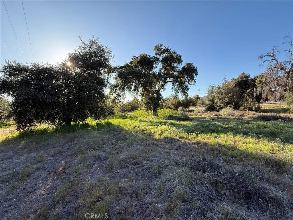 3 Chihuahua Valley Road photo