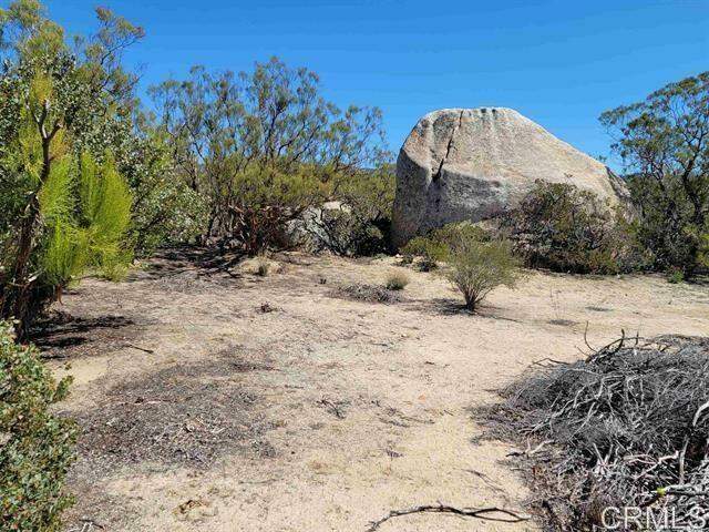 30006 Chihuahua Valley Road photo