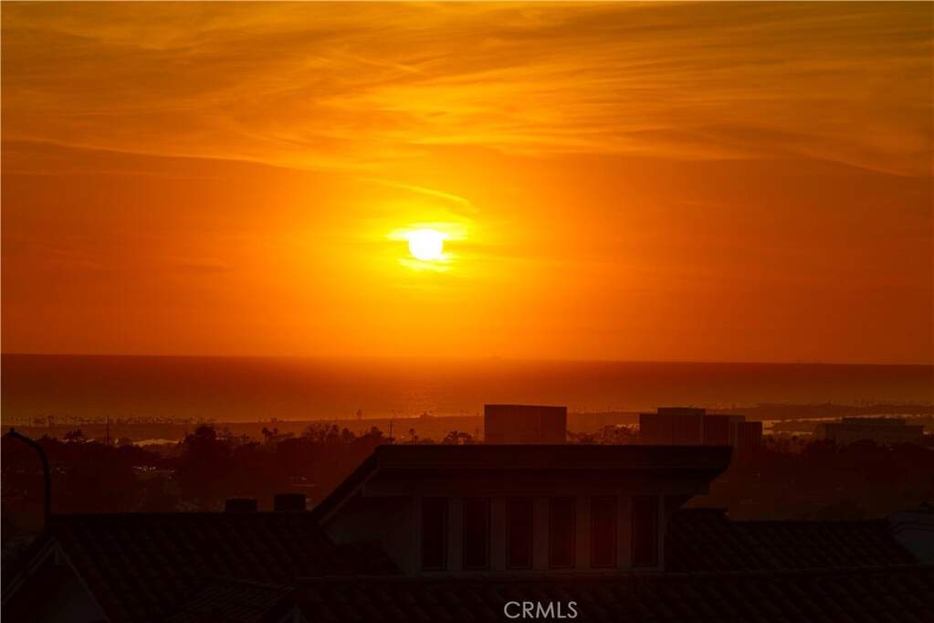 11 Montpellier photo