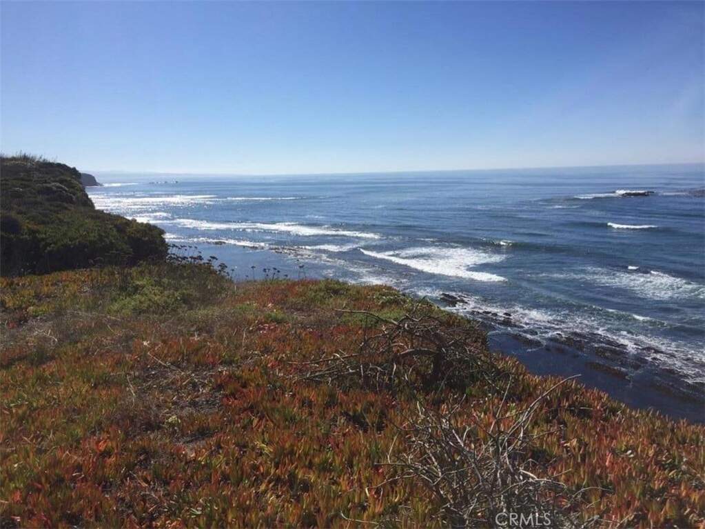 0 Bernal photo