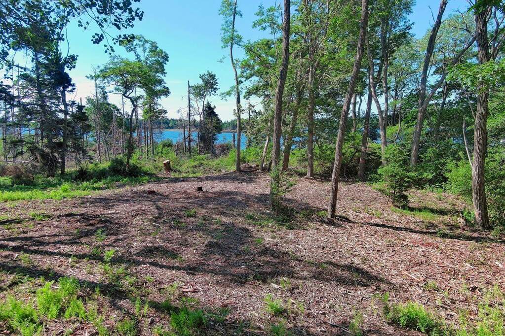 Land/Vacant Land's Image 7