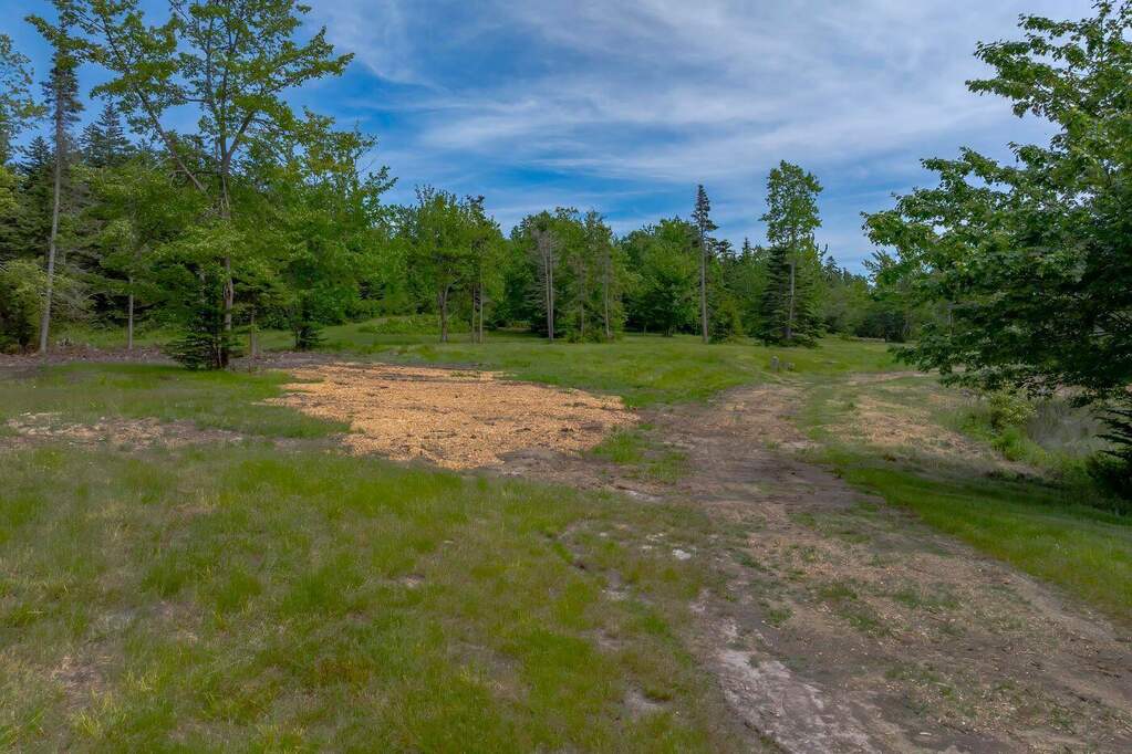 Land/Vacant Land's Image 4