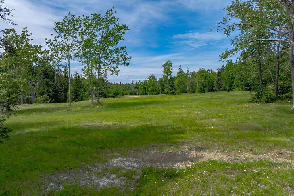 Land/Vacant Land's Image 5