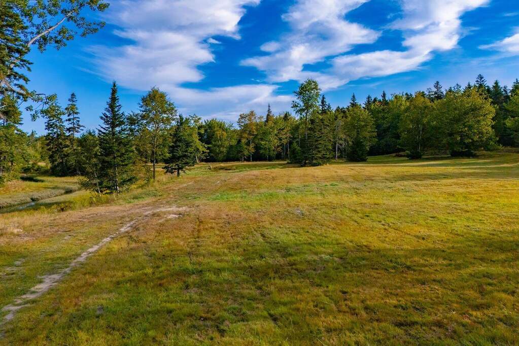 Land/Vacant Land's Image 6