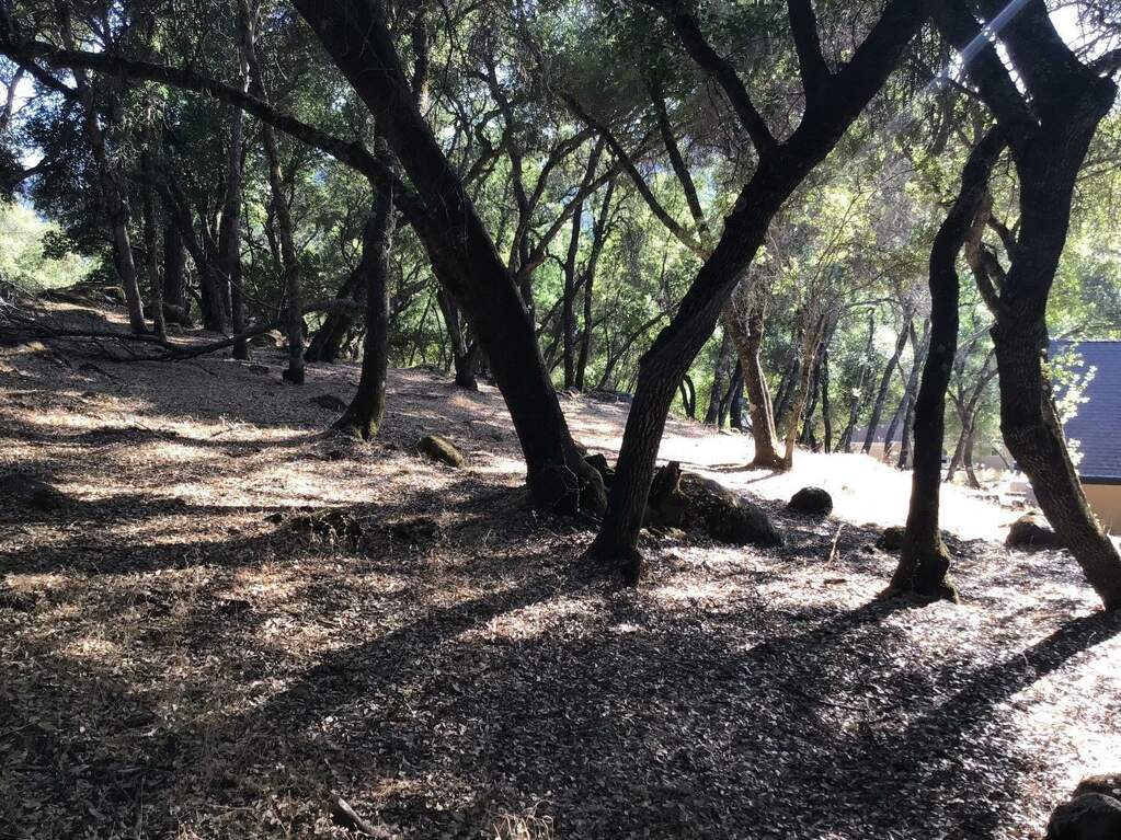 18169 Deer Run photo