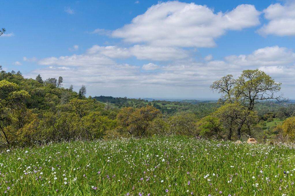 10865 Sunset Drive photo
