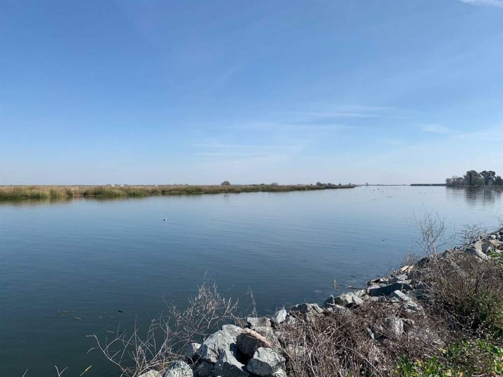 0 Brannan Island-2 photo