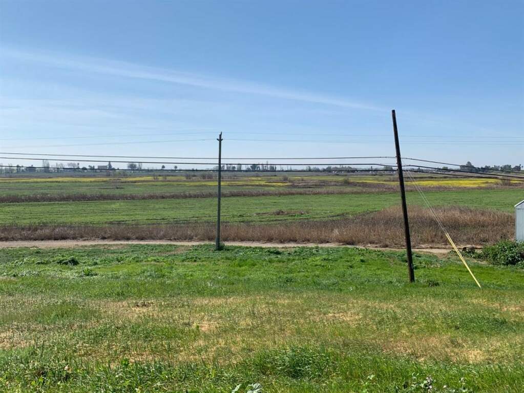 0 Brannan Island photo
