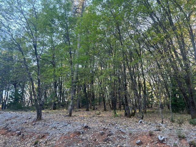 12103 Lowhills Road photo