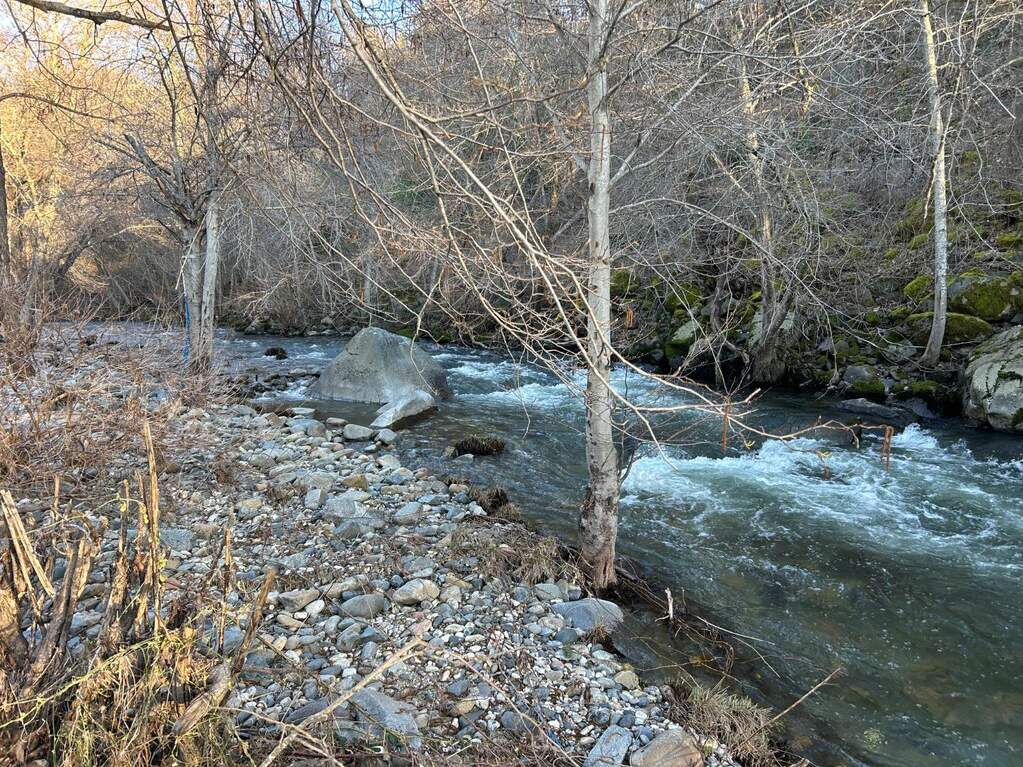 14519 Beitler Rd photo