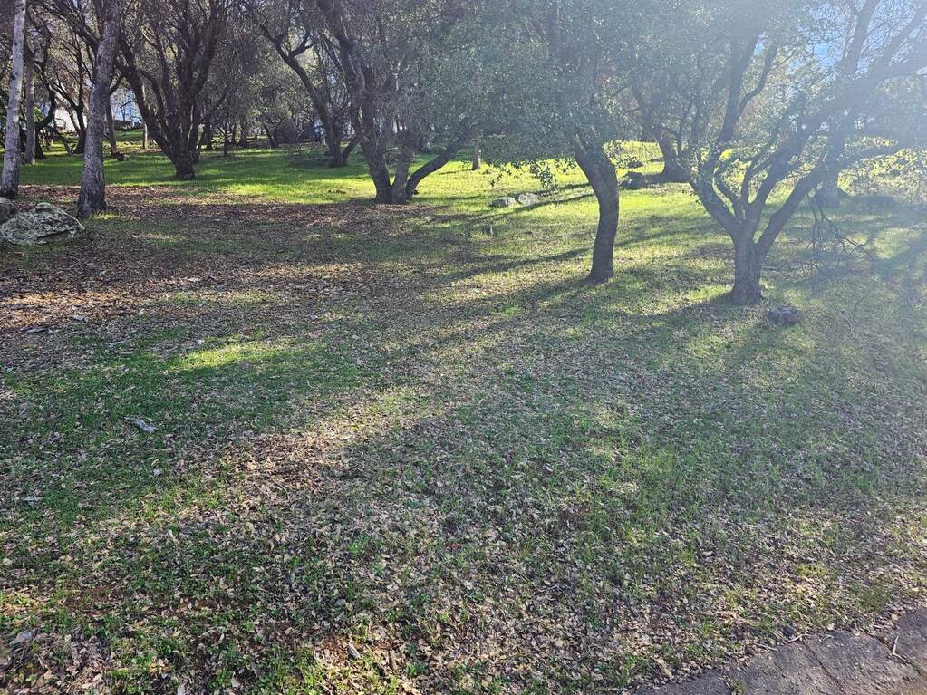 11839 Warbler Way photo