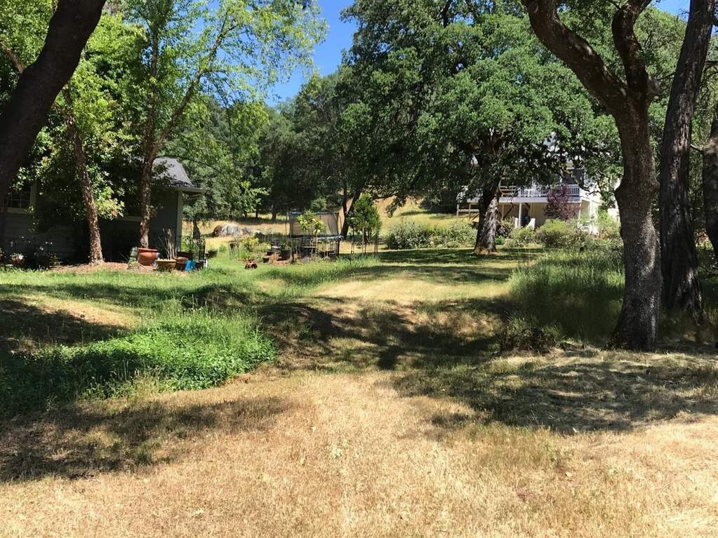 14193 Chestnut Court photo