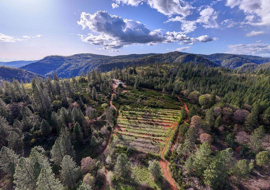 10571 Sebastopol Road photo