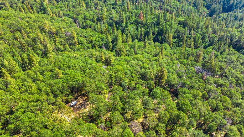 20866 Kuntz Court, Nevada City, CA 95959