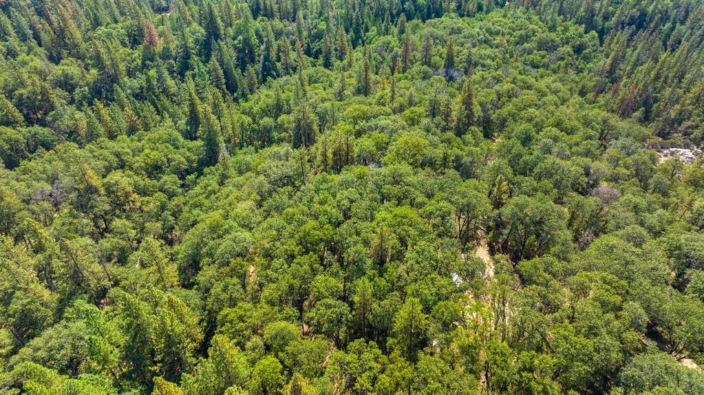 20866 Kuntz Court, Nevada City, CA 95959