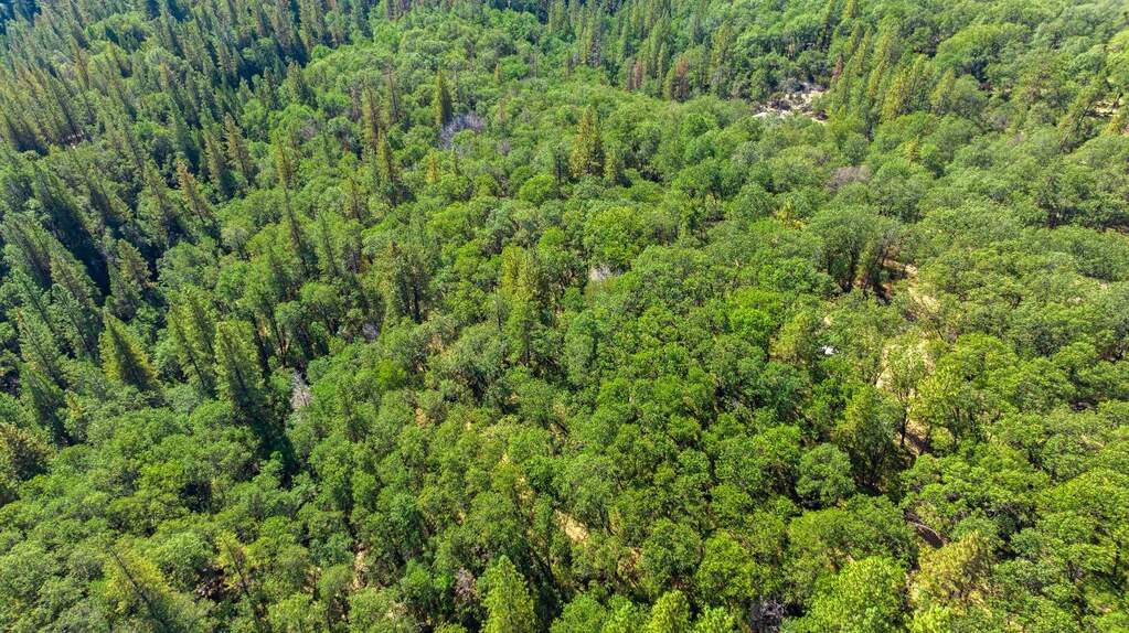 20866 Kuntz Court, Nevada City, CA 95959